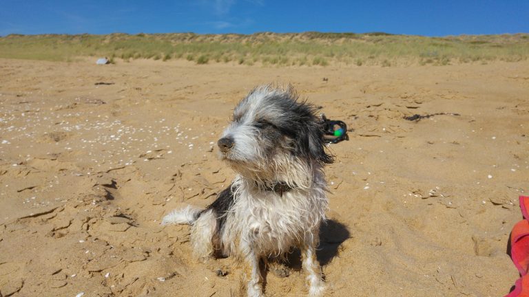 Zuzahlungen von gesetzlich Krankenversicherten